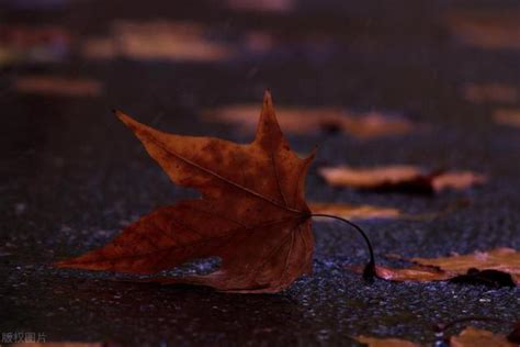 夢見死去的親人還活著|夢見死人的正確意義和解釋